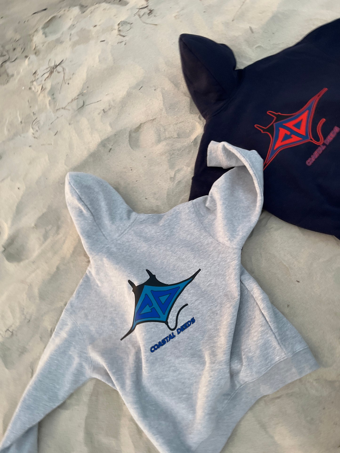 Light Blue Coastal Deeds Icon Hoodie